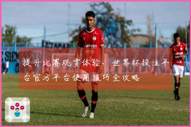 提升比赛观赏体验，世界杯投注平台官方平台使用技巧全攻略