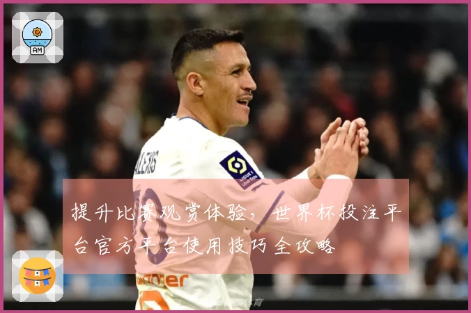 提升比赛观赏体验，世界杯投注平台官方平台使用技巧全攻略