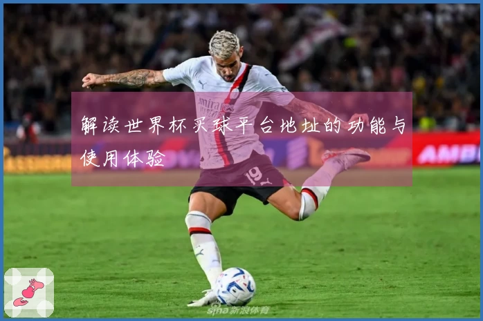 解读世界杯买球平台地址的功能与使用体验