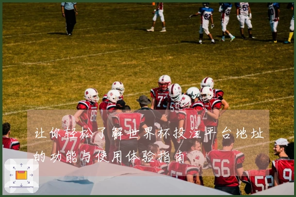 让你轻松了解世界杯投注平台地址的功能与使用体验指南