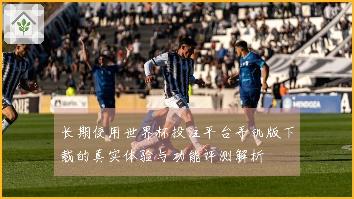 长期使用世界杯投注平台手机版下载的真实体验与功能评测解析
