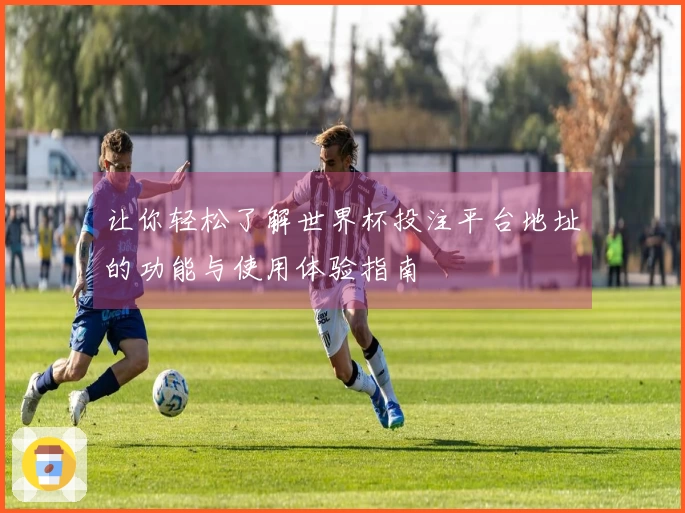 让你轻松了解世界杯投注平台地址的功能与使用体验指南