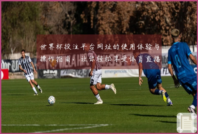 世界杯投注平台网址的使用体验与操作指南，让你轻松享受体育直播。